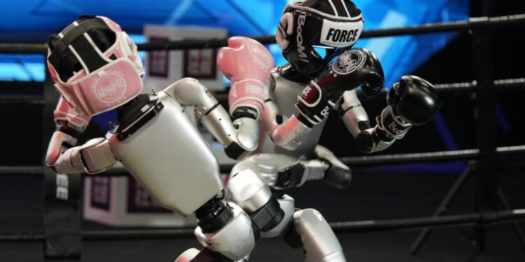 Indonesia’s Robot Martial Arts Stunt